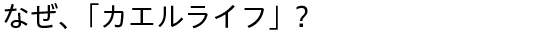 なぜ、「かえるらいふ」？